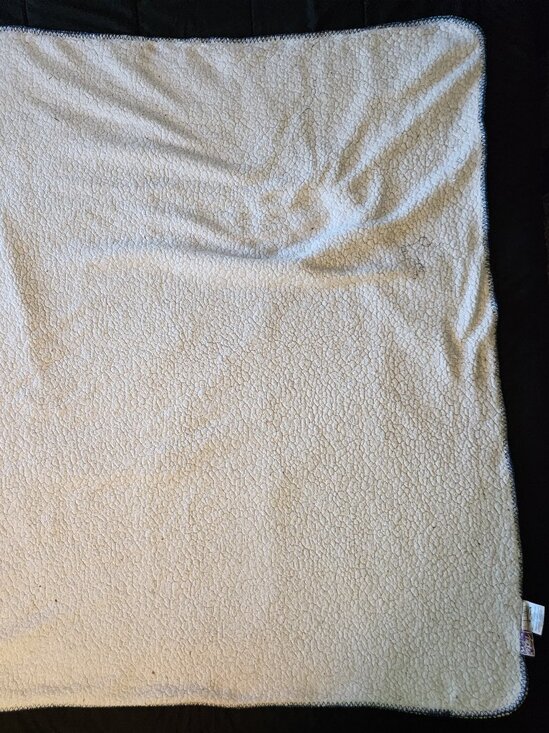 Lilo & Stitch "Palm Smiles" Cloud Sherpa Throw Blanket, Size 50" x 60" - Picture 7 of 7